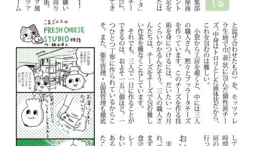 FRESH CHEESE STUDIOさんのオーダーメイド通信「FCS通信」第2号を作成しました