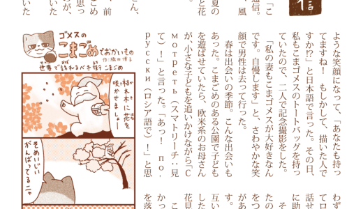 こまごめ通信vol.72（2025年5月号）ができました